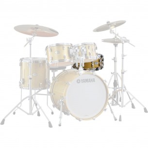 JAMS1460GCS - Caisse Claire ABSOLUT MAPLE HYBRID 14" X 6 GOLD SPARKLE SPARKLE