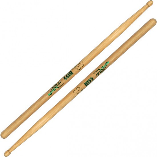 Artist Series Eric singer