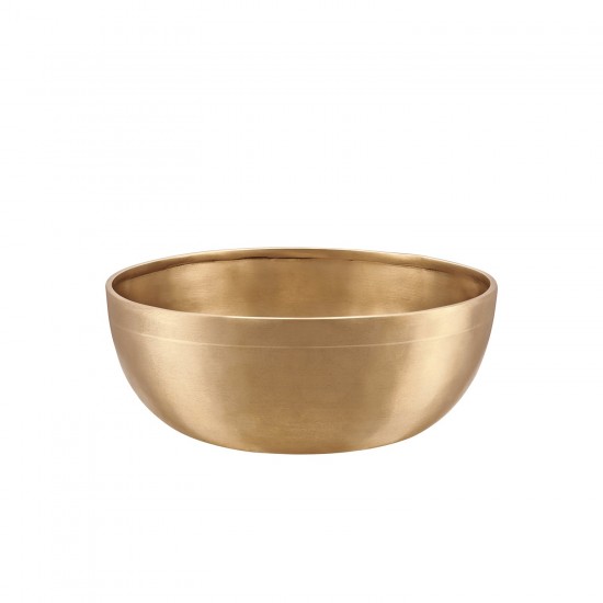 E-1000 - Bol Energy Singing Bowl 19.9cm - 1050g