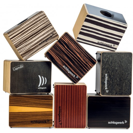 DC300S - DC300S Cajonito "surprise"