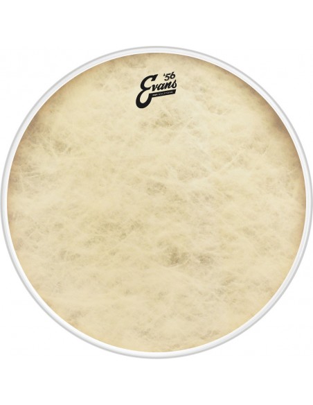 BD24GB4CT Peau de grosse caisse EQ4 Calftone 24"