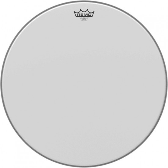 BA-0120-00 - 20" Ambassador Coated