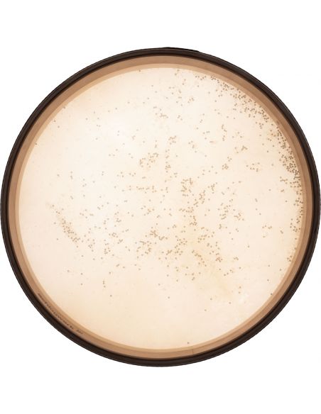 RT40CD - frame drums Coast Drum Ø 40 cm - non accordable