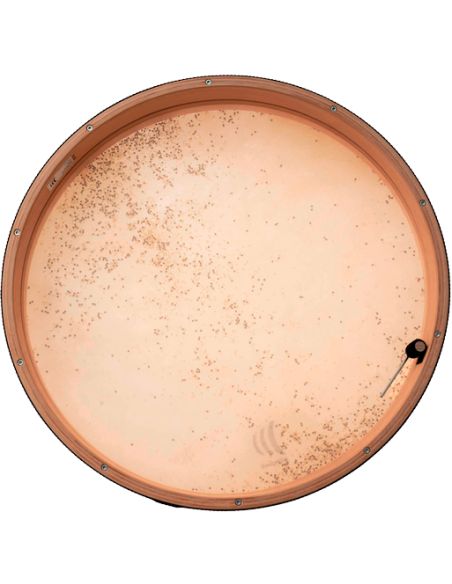 RTS51CD - frame drums Coast Drum Ø 50 cm 