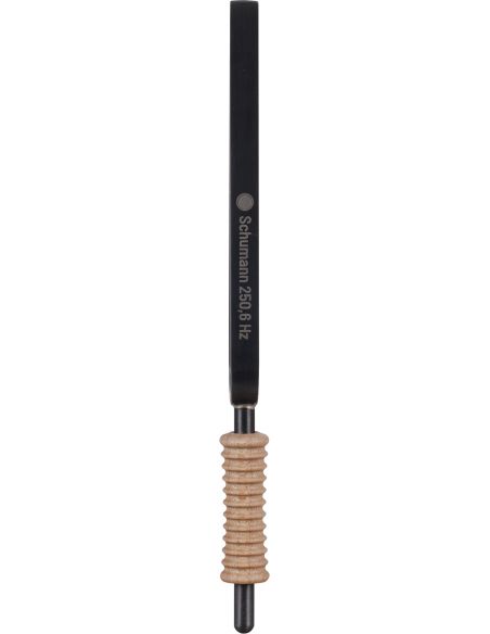 STF-SC - Diapason - Terre & Lune - Schumann - 250,6Hz