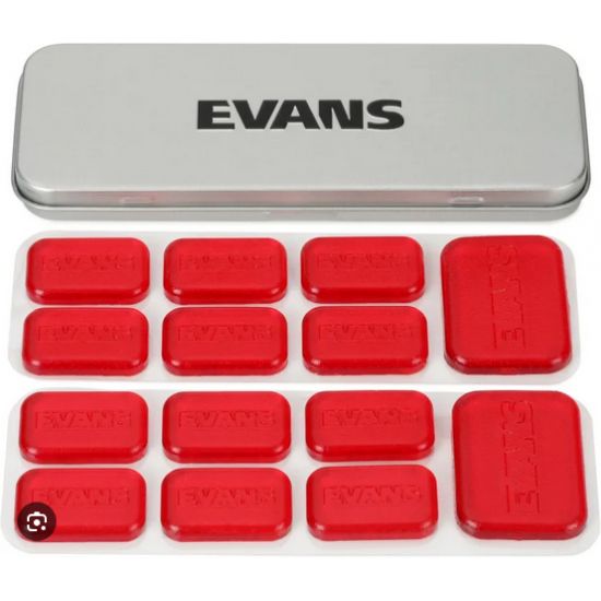 Mini EQ Pods EVANS