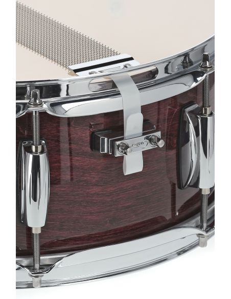 Snare Drum Catalina Maple 14"x5,5" - Purple Gloss