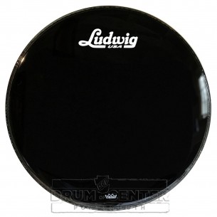 LW1022P3ESV Remo...