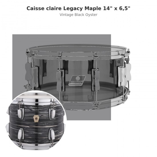 LLS364XX1Q Caisse claire Legacy Maple...