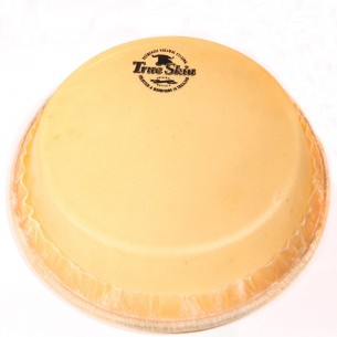 Peau True Skin 11" pour conga Woodcraft WCO11