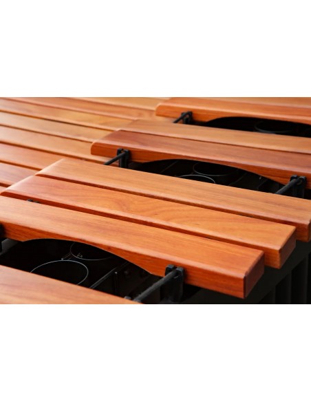 Marimba Concert Black 5 octaves - Padauk bars