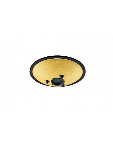 Compact tongue drum in D minor 10" - Gold