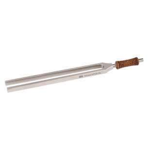 Diapason Therapy Saturn
