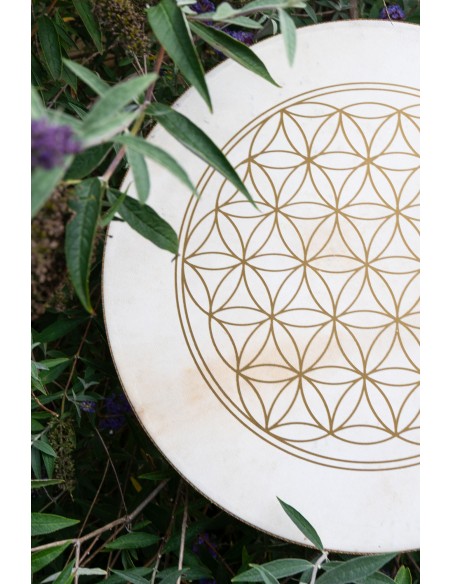Wave drum 18" - Flower of Life
