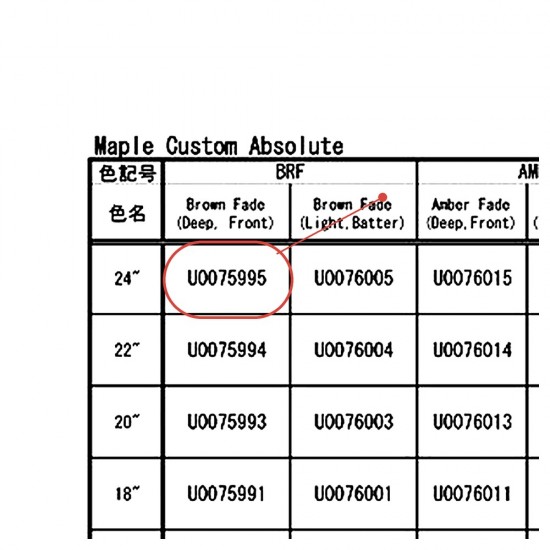 Cercle bois grosse caisse 24" face avant - Absolute Maple Custom - BRF foncé - YAMAHA U0075995