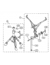 LDR-0136-021 - Vue 1