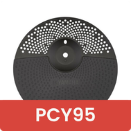 PCY95